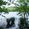 Tour 9: NP-Jasmund